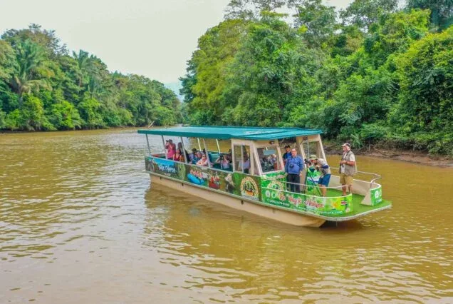 Caño Negro Wildlife